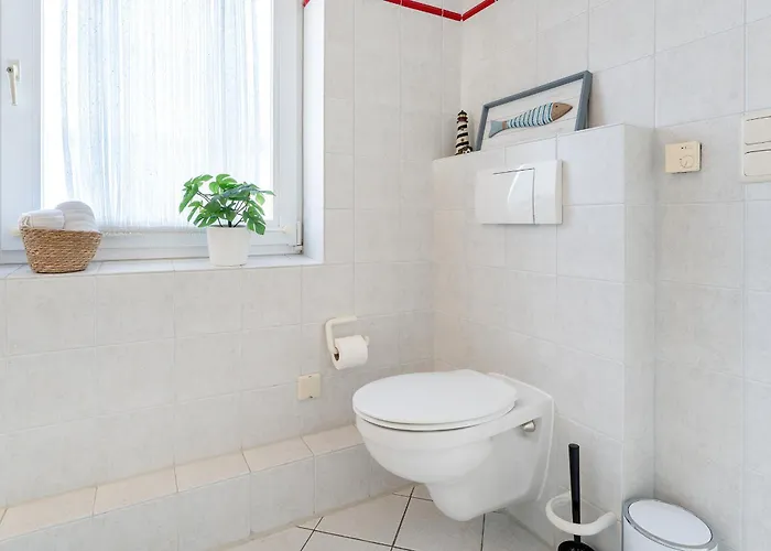 Meerkieker * Albertsdorf